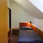 Pod Kaplickou Orman Evi Rajnochovice