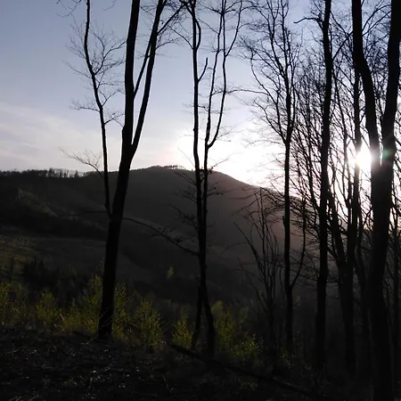 Pod Kapličkou *