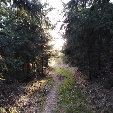Pod Kapličkou * Rajnochovice