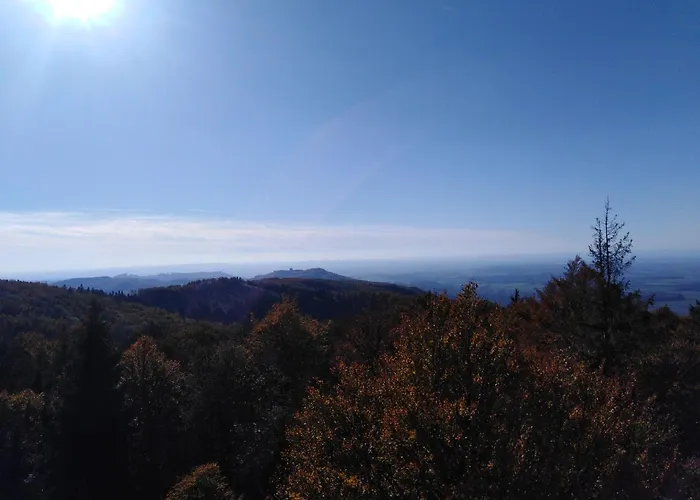 Pod Kaplickou Деревянный коттедж *