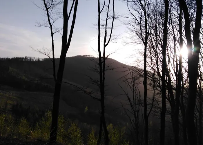 Pod Kapličkou *