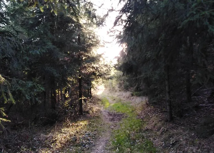 Pod Kapličkou * Rajnochovice